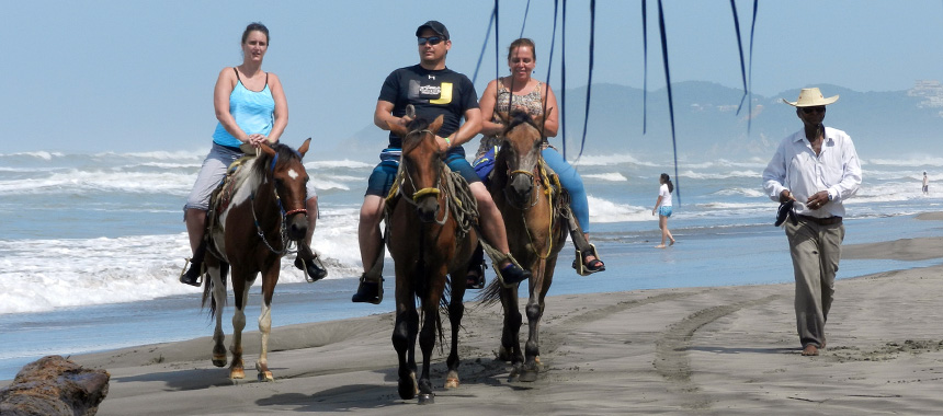 Horseback Riding and Baby Turtle Release