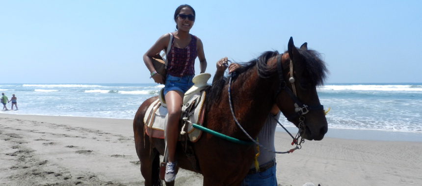 Horseback Riding and Baby Turtle Release
