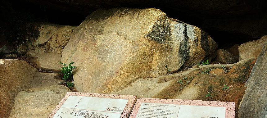 Palma Sola Archaeological Site Tour